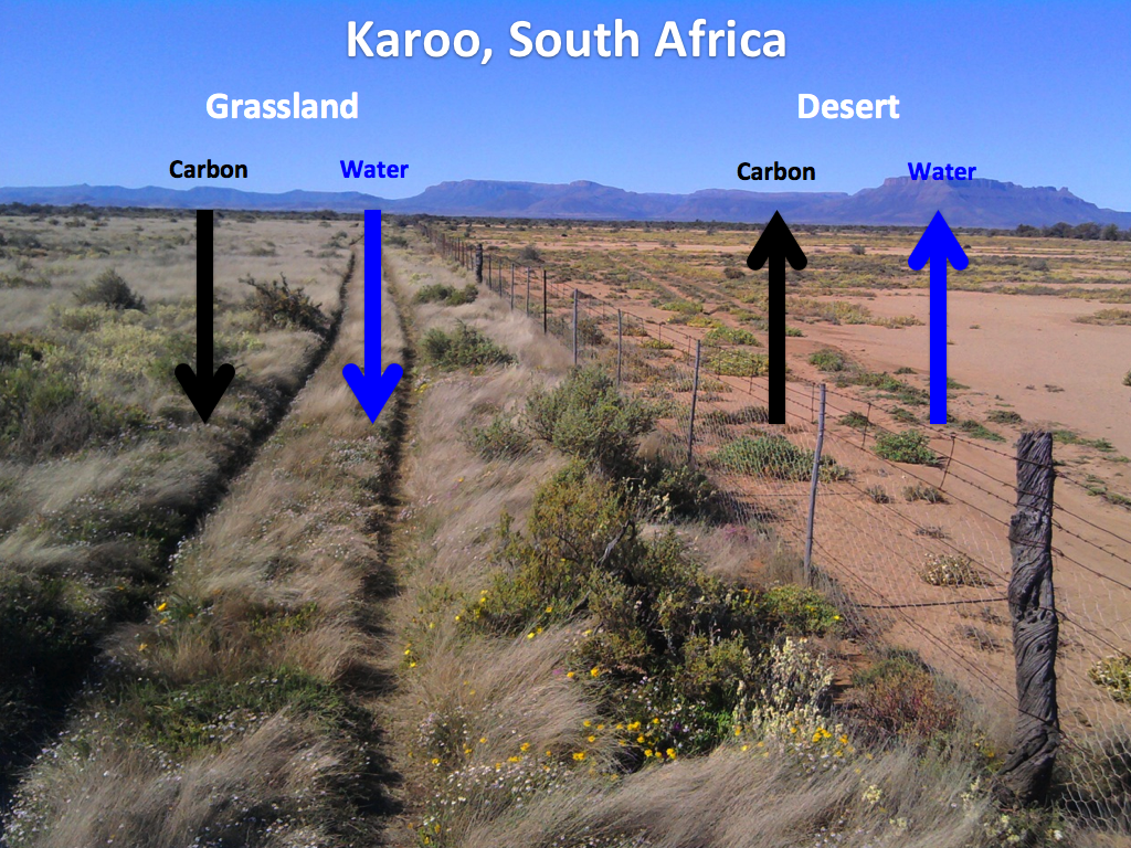 Karoo region of South Africa