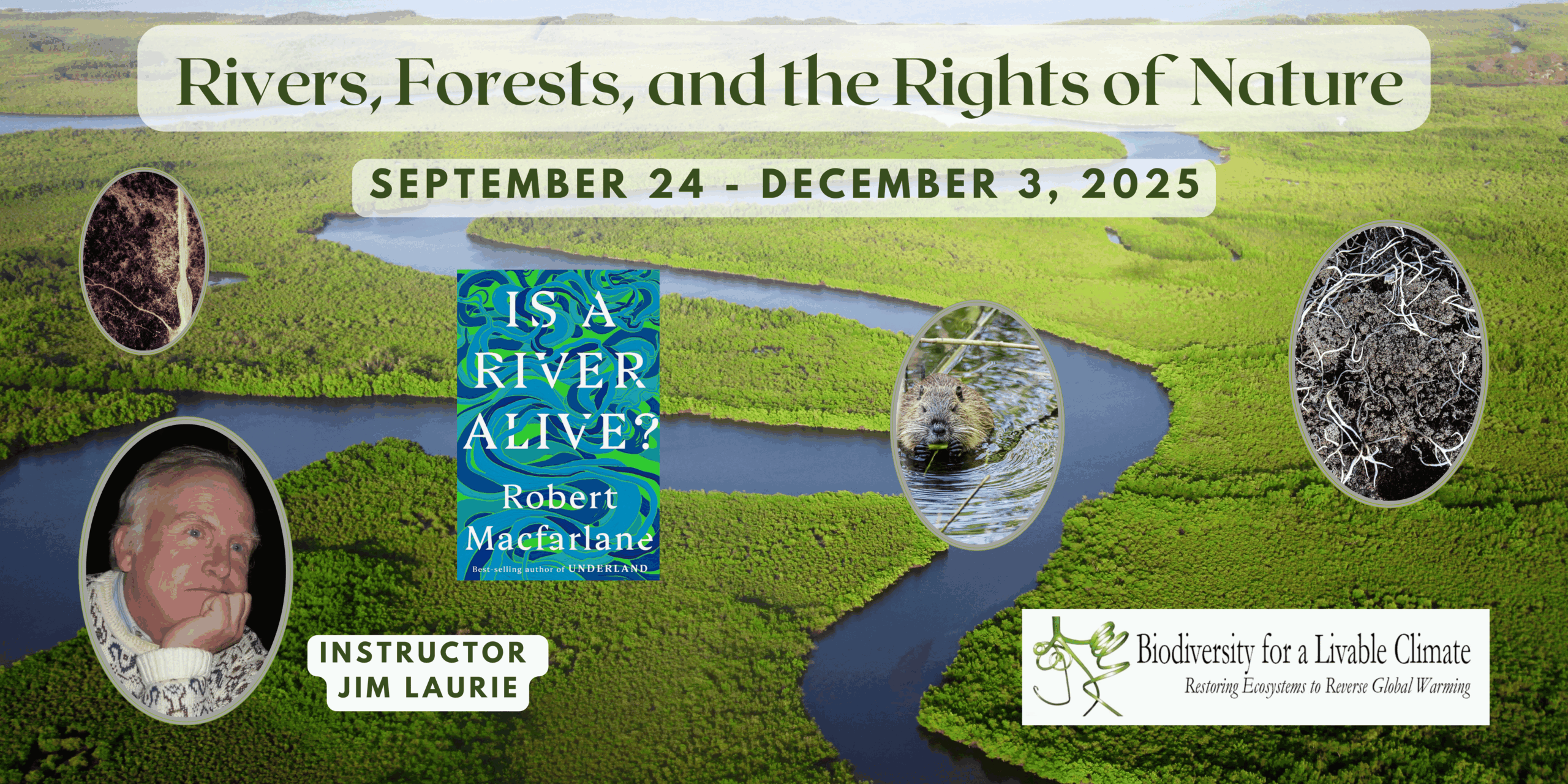 Biodiversity 13: Rivers, Forests, and the Rights of Nature ...