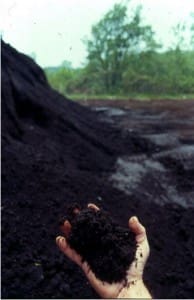 handful of soil