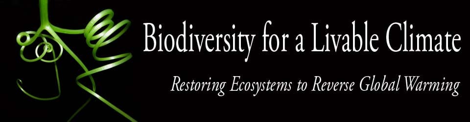 Biodiversity for a Livable Climate