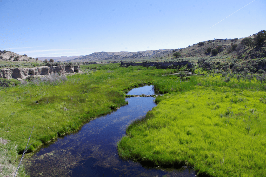 Water - Biodiversity for a Livable Climate